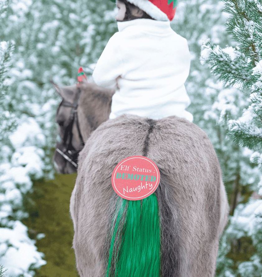 Cheeky Elf Christmas Horse Tail Tassel