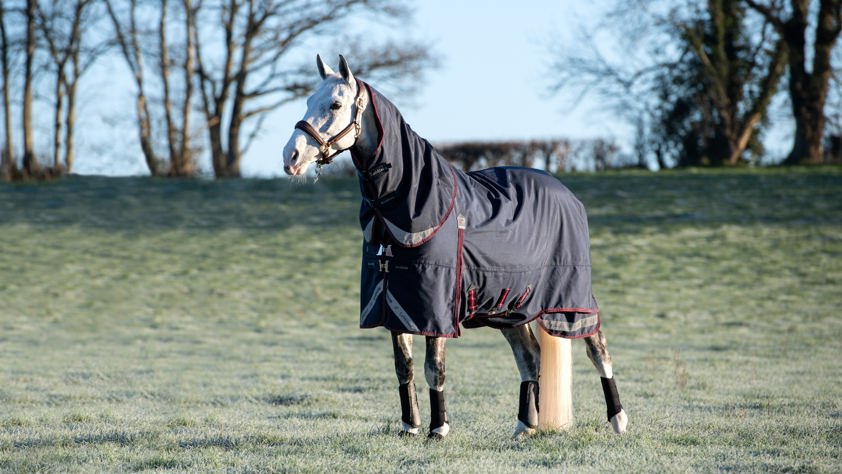 Navy Lemieux Kudos Turnout Rug