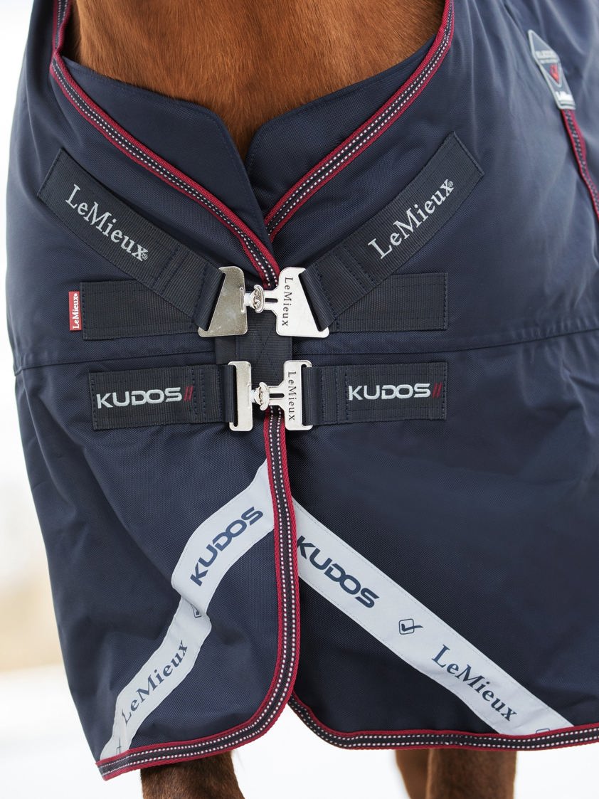 Navy Lemieux Kudos Turnout Rug