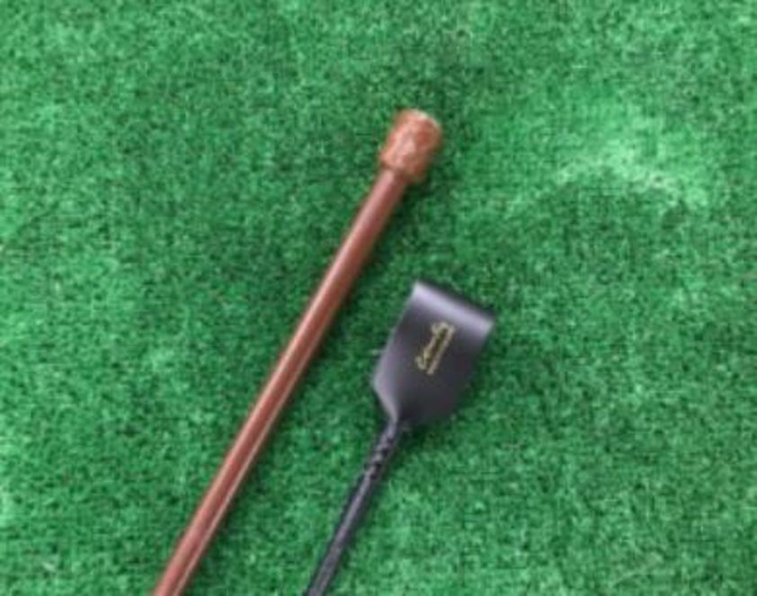 Brown CW15 Leather Riding Whip