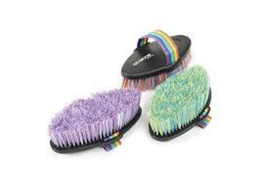 Purple/Green Ezi Groom Shape Up Body Brush