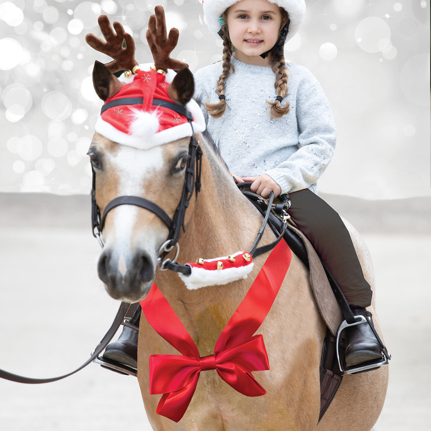 Red Christmas Horse Chest Bow