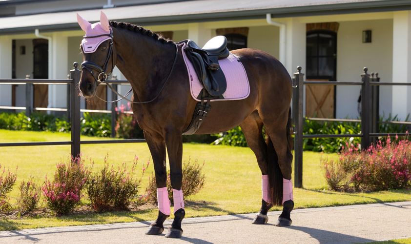 White LeMieux Essence Dressage Square