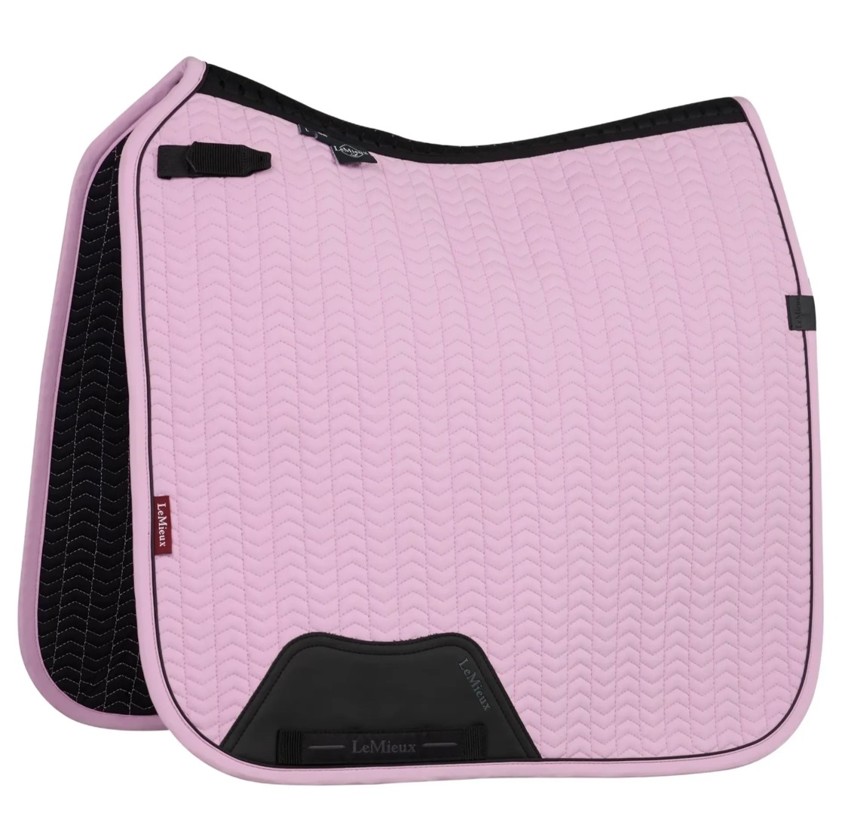 Fondant LeMieux Essence Dressage Square