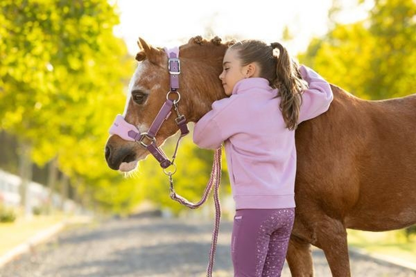 Fondant LeMieux Mini Quinn Quarter Zip Sweat