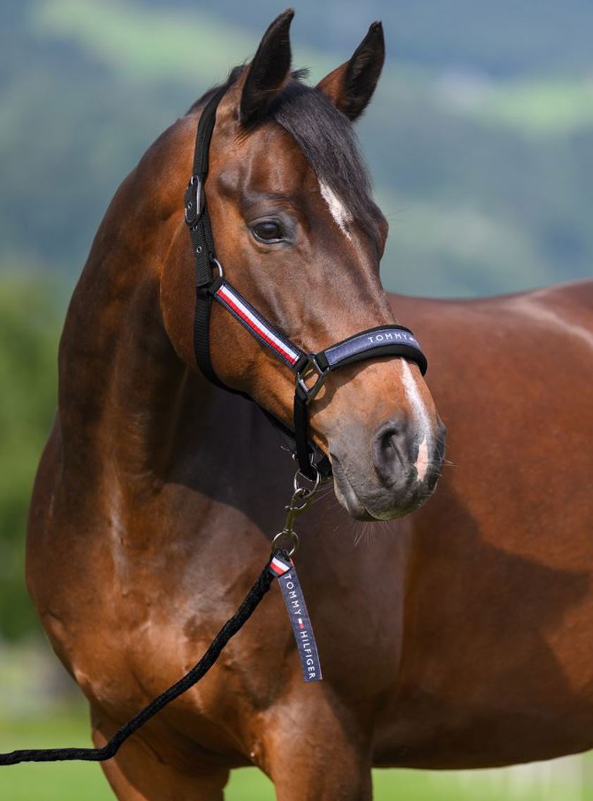 Black Tommy Hilfiger Yale Set Headcollar & Rope