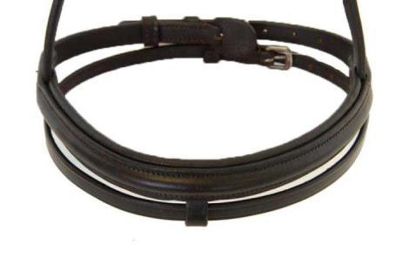 Havana Ascot Flash Noseband