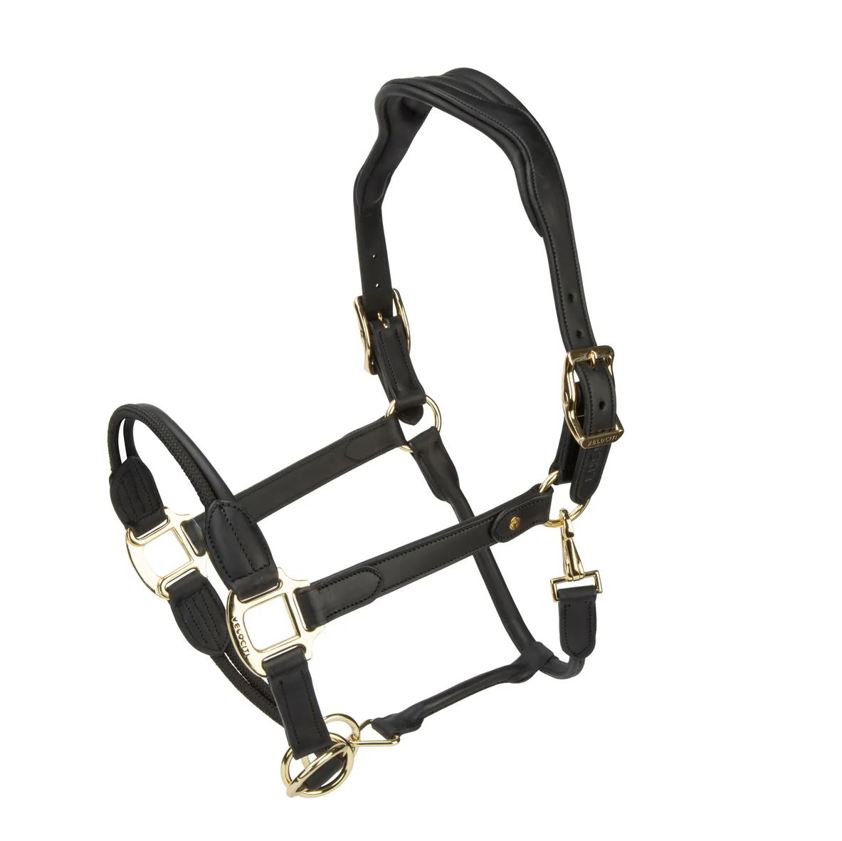 Black Velociti Lusso Soria Control Leather Headcollar
