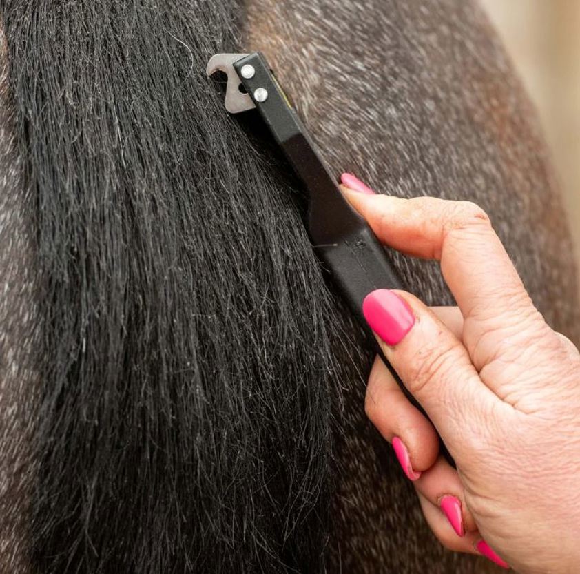 Black Smart Tails