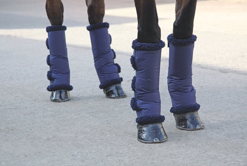 Navy Shires Short Fleece Lined Travel Boots