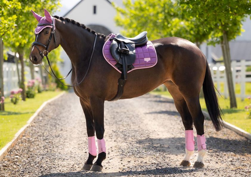 Mallow LeMieux CC Loire Satin Saddlecloth