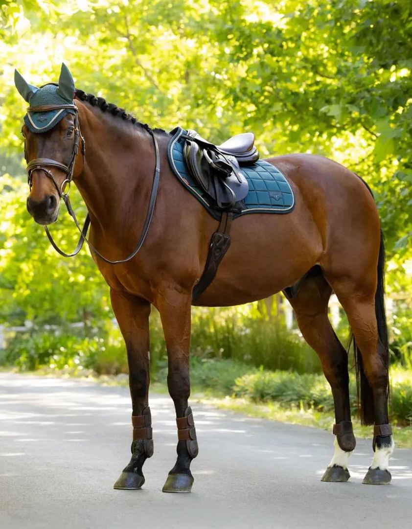 Jungle LeMieux CC Loire Satin Saddlecloth