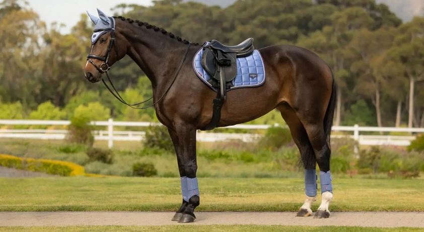 Powder Blue LeMieux CC Loire Satin Saddlecloth