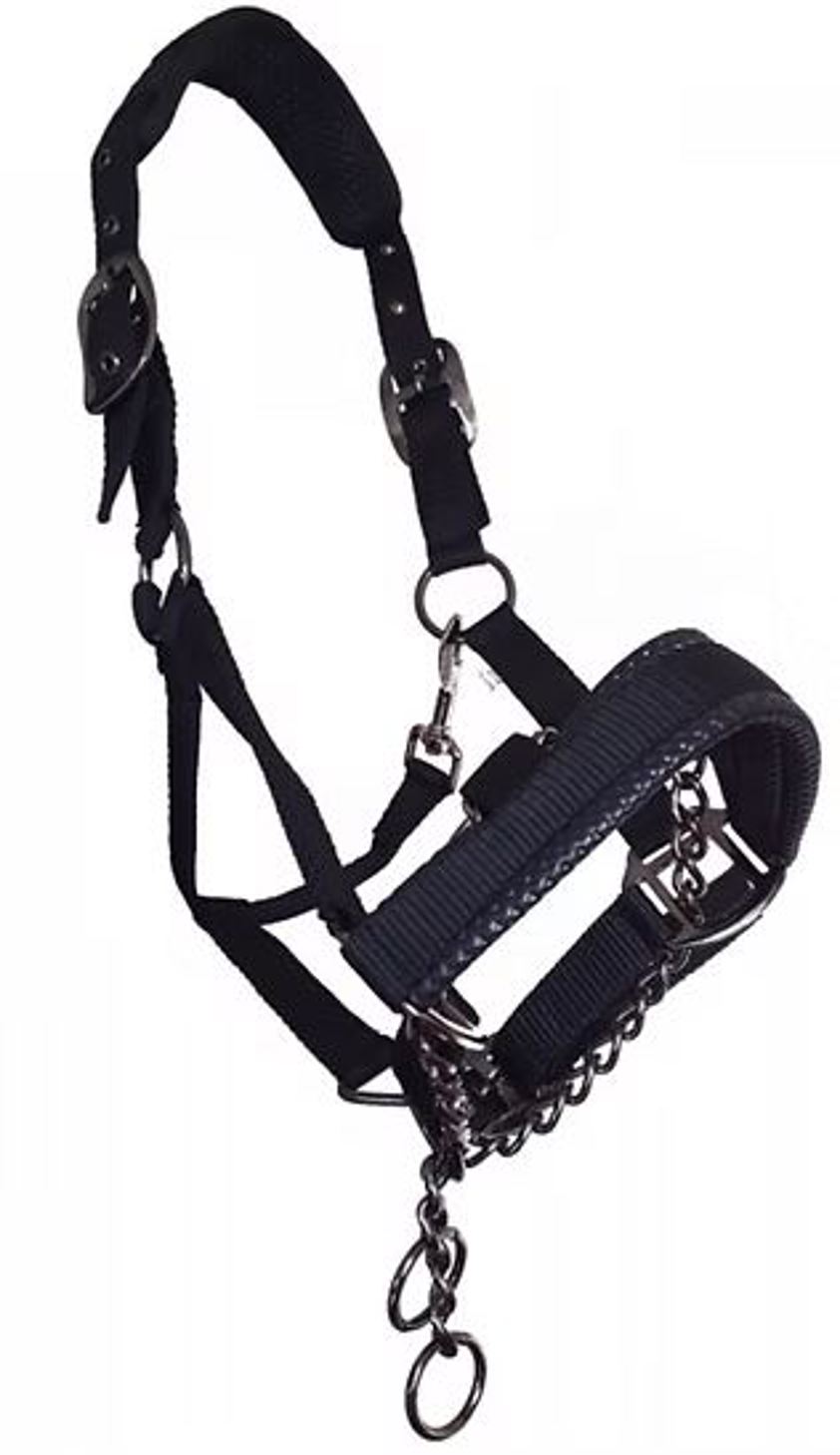 Control Comfort Headcollar With Chain