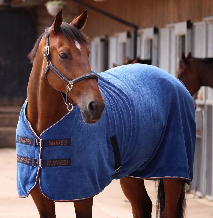 Navy Tempest Original Ultra Drying Rug