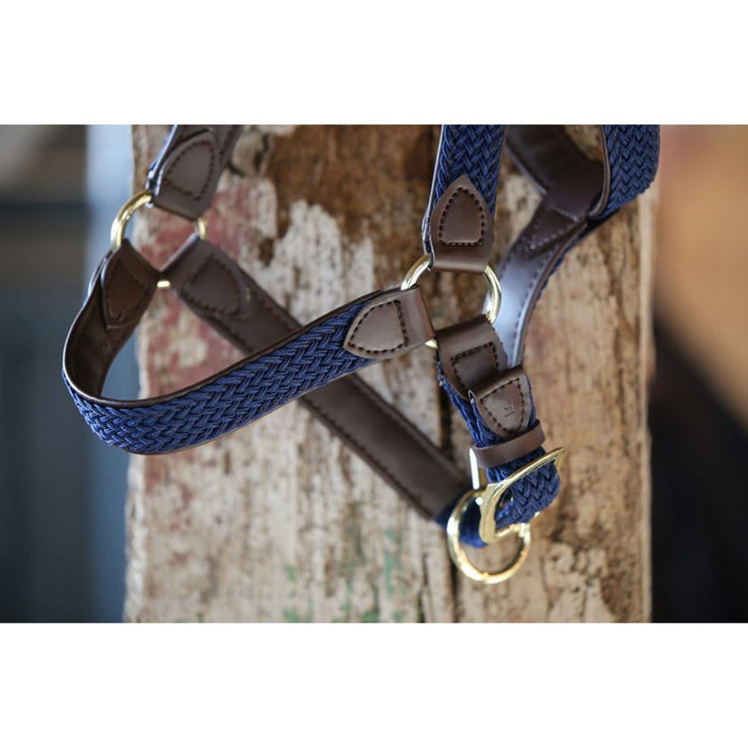 Bordeaux Kentucky Plaited Nylon Headcollar