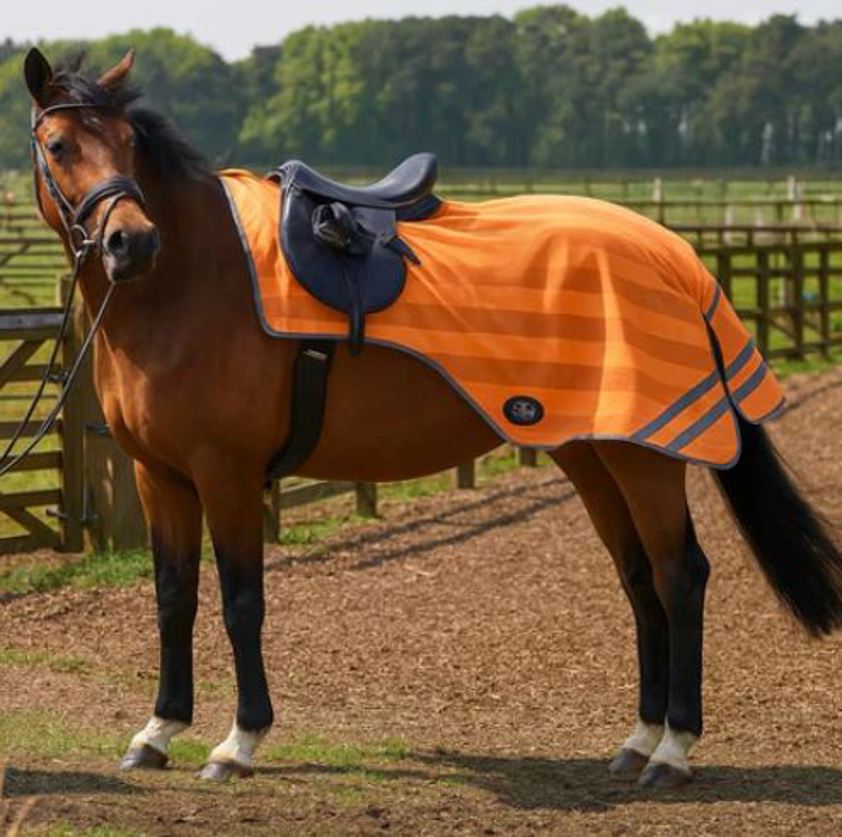 Orange Firefoot Reflective Exercise Sheet