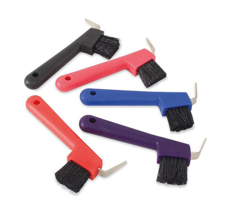 Assorted Hoof Pick Brush