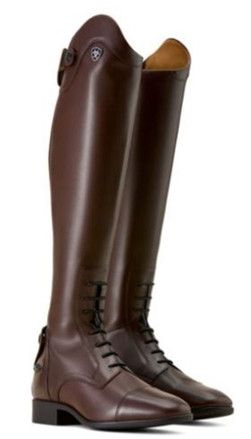 Mahogany Ariat Palisade Field Riding Boot