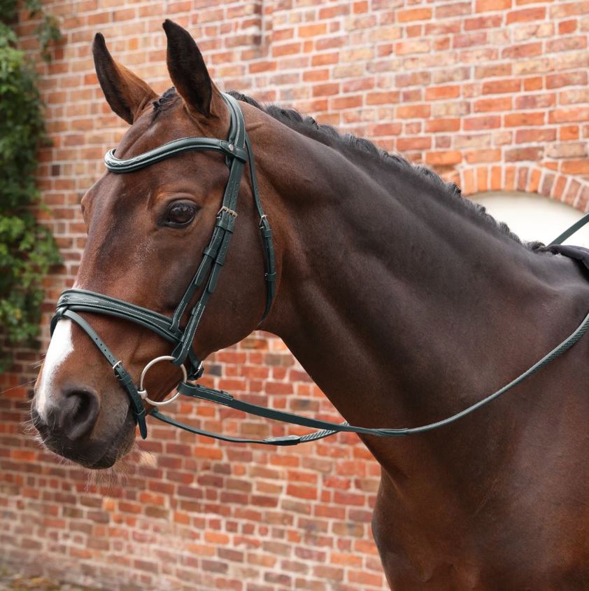 Black Velociti Lusso Opus Pro SureGrip Reins
