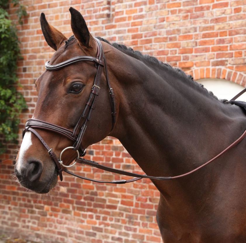 Havana Velociti Lusso Opus Pro SureGrip Reins