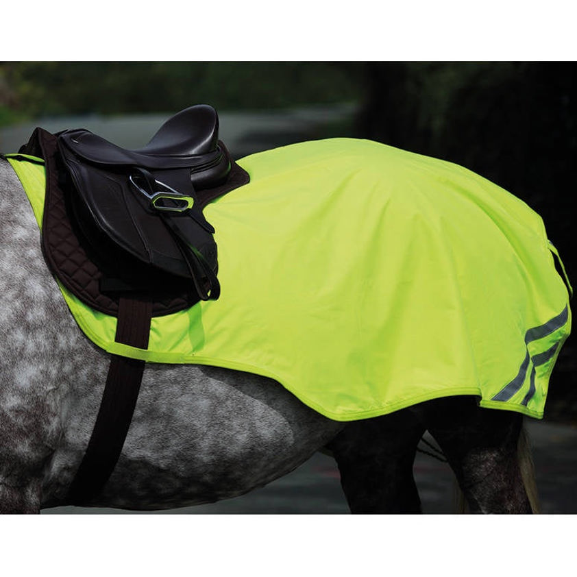 Yellow Equi-Flector Mesh Exercise Sheet