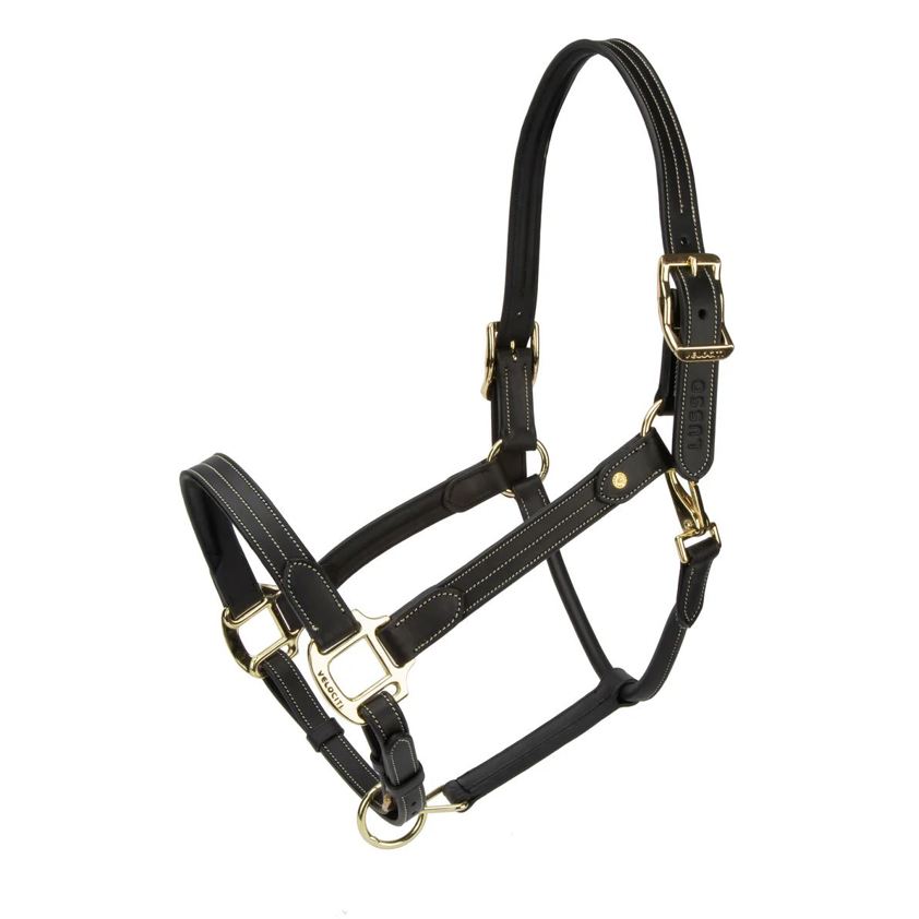 Black Velociti Lusso Girona Leather Headcollar