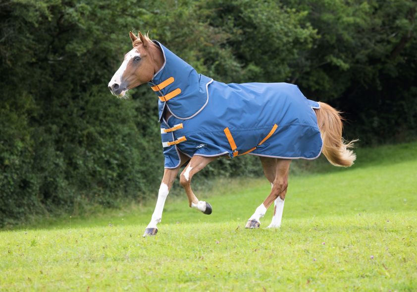 Blue Tempest Lite Turnout Rug & Neck