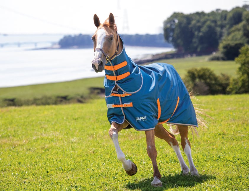 Blue Tempest Lite Turnout Rug & Neck