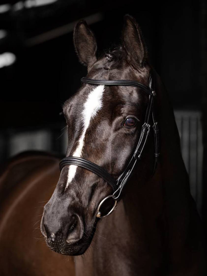 Black LeMieux Arika Cavesson Bridle