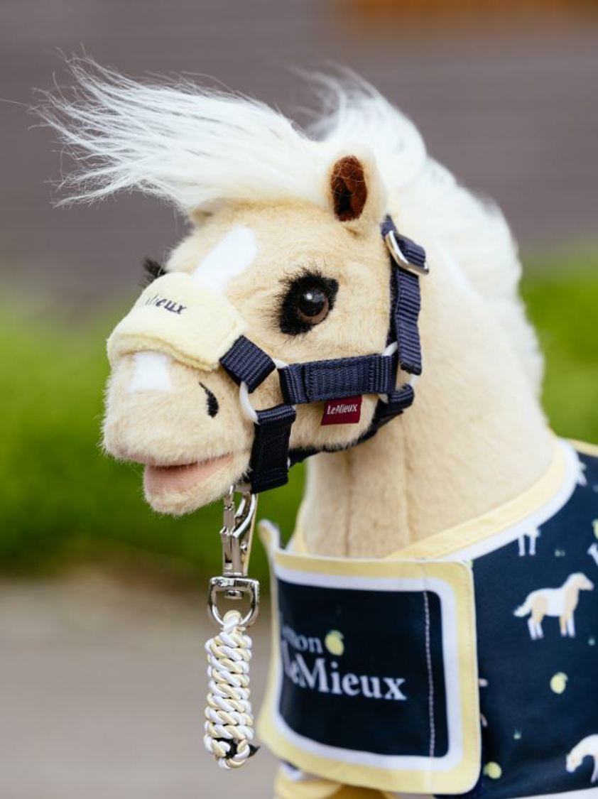 Ink LeMieux Toy Pony Accessories