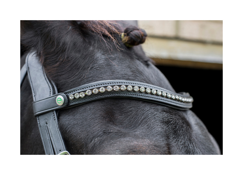 Brown Freedom Browband Sapphire