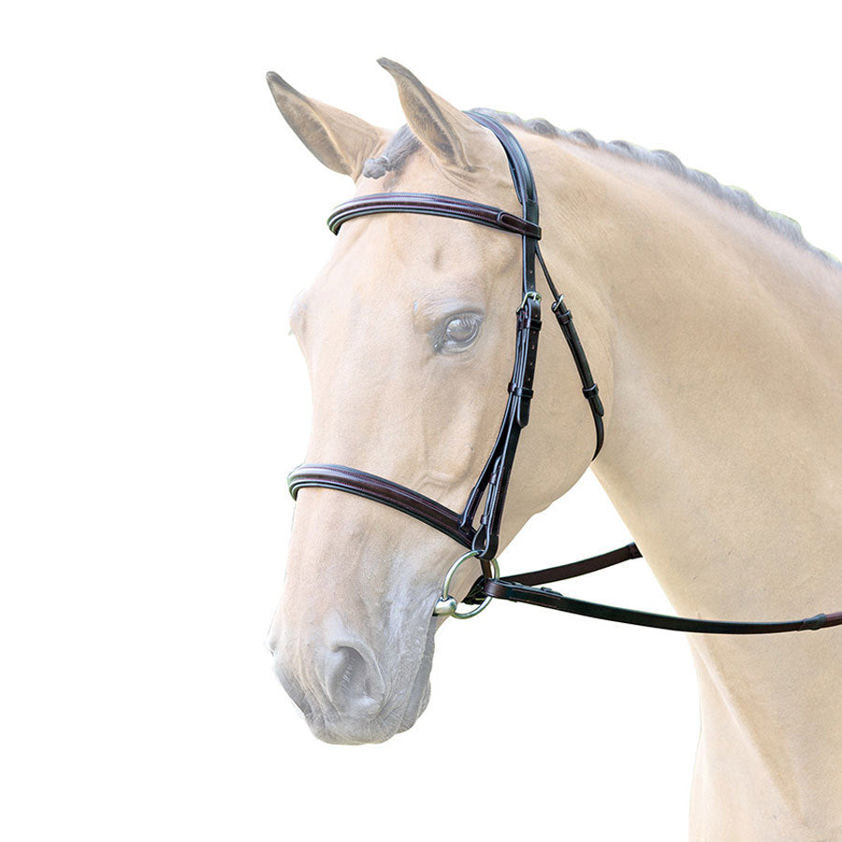 Havana Lavello Raised Cavesson Bridle