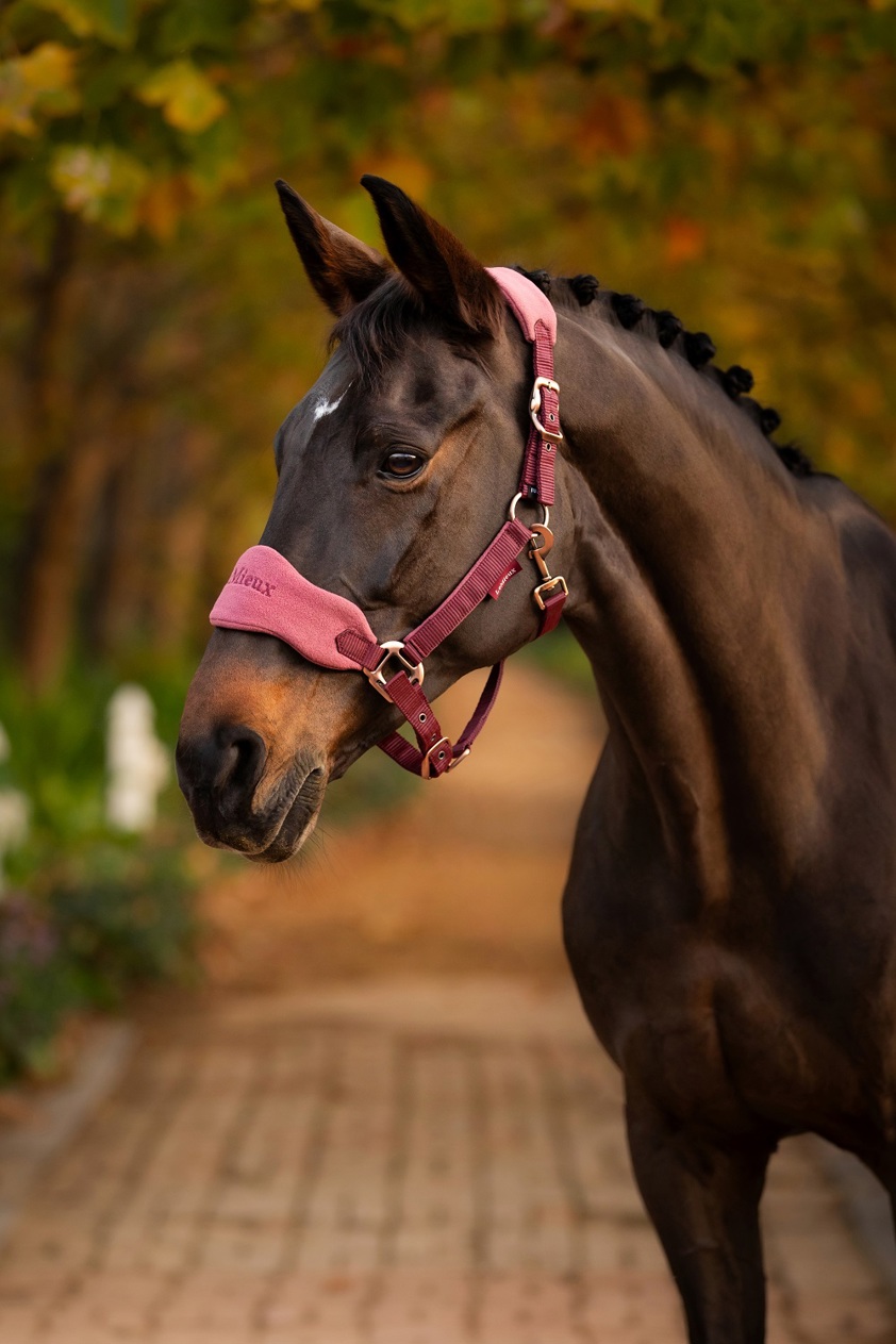 Benetton Blue LeMieux Vogue Headcollar&Lead Rope