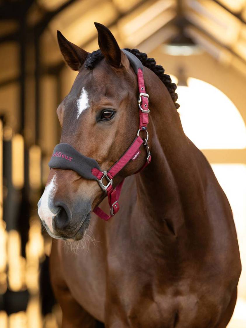 Ember LeMieux Vogue Headcollar&Lead Rope