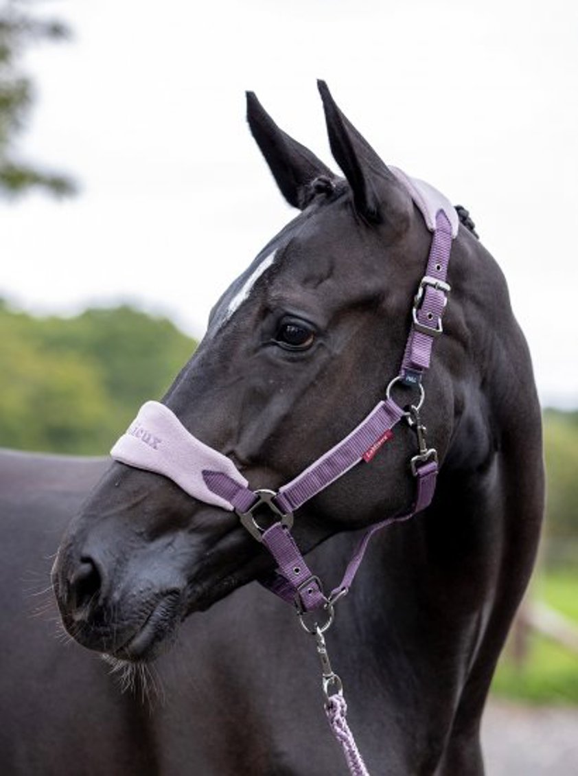 Benetton Blue LeMieux Vogue Headcollar&Lead Rope