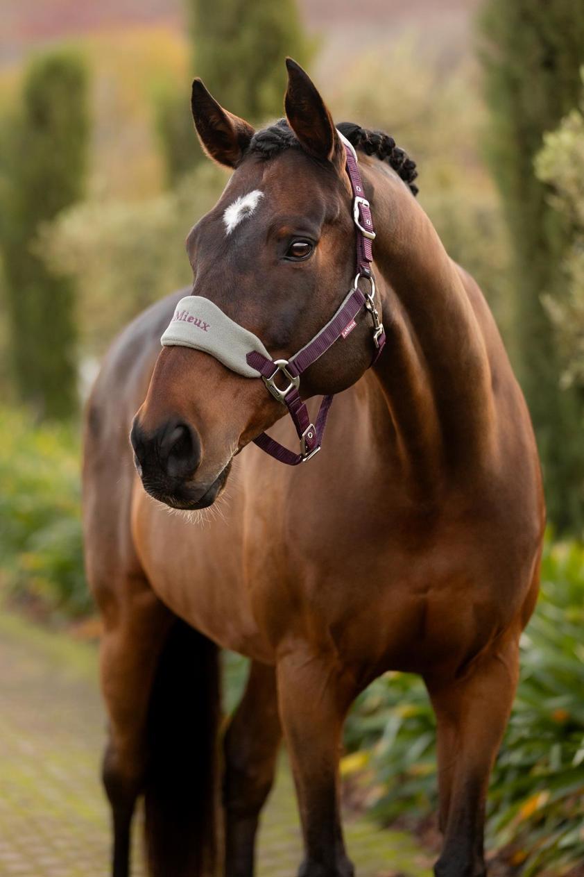 Damson LeMieux Vogue Headcollar&Lead Rope