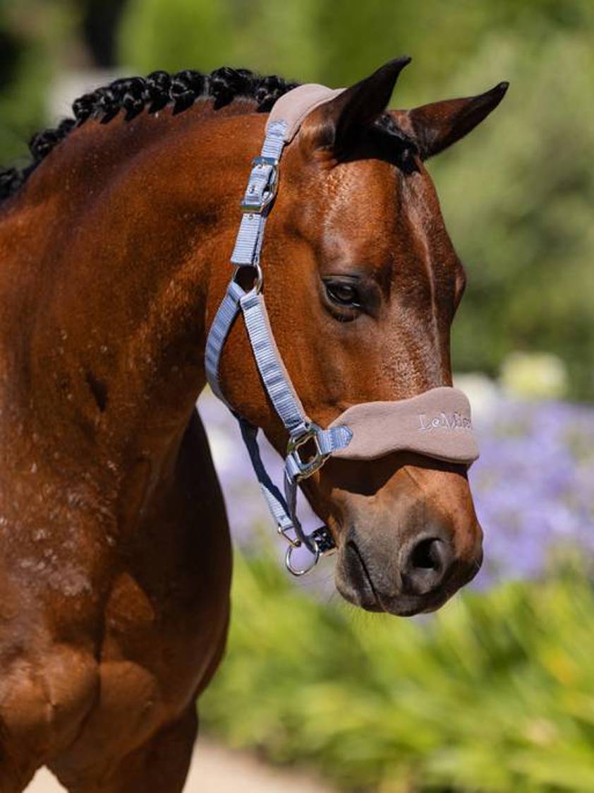 Jay Blue LeMieux Vogue Headcollar&Lead Rope