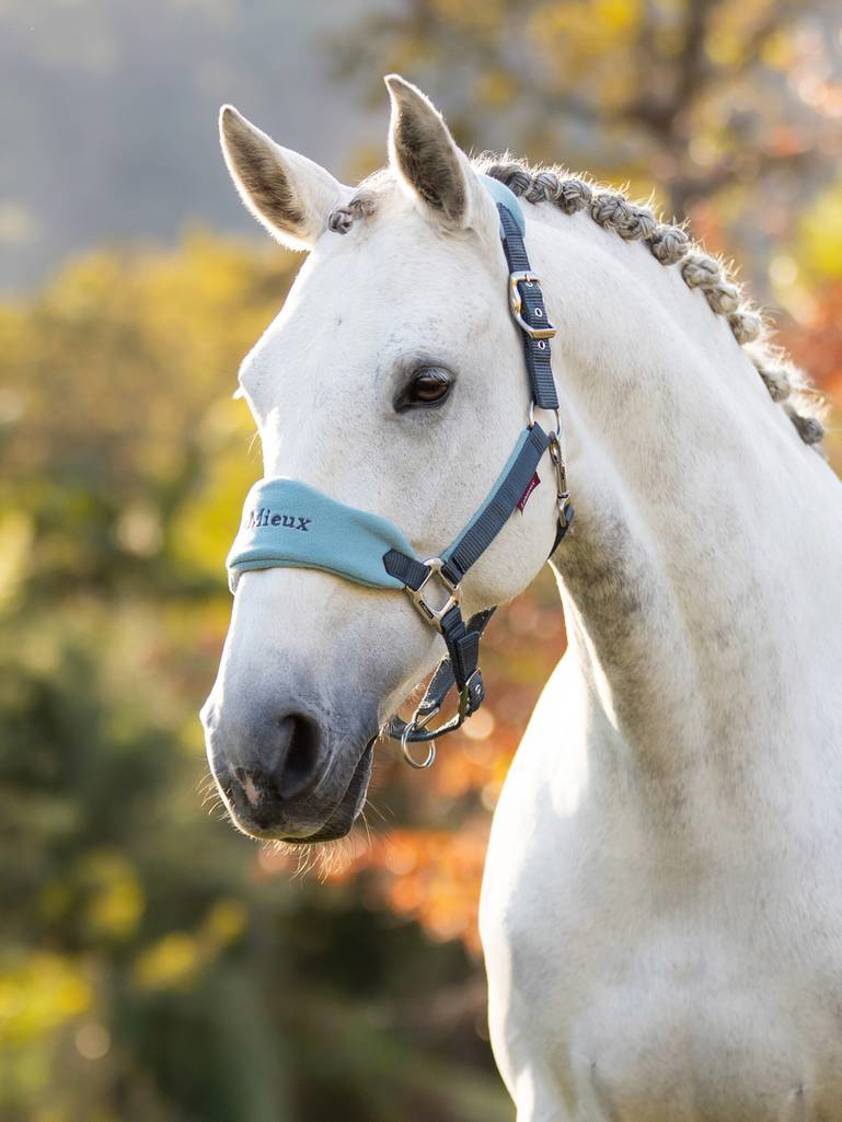 Petrol LeMieux Vogue Headcollar&Lead Rope