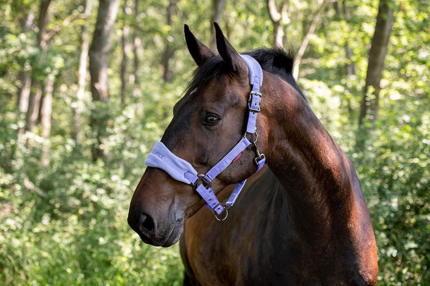 Benetton Blue LeMieux Vogue Headcollar&Lead Rope