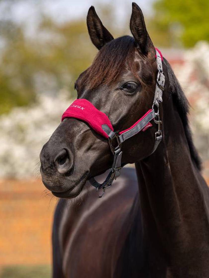 Mulberry LeMieux Vogue Headcollar&Lead Rope