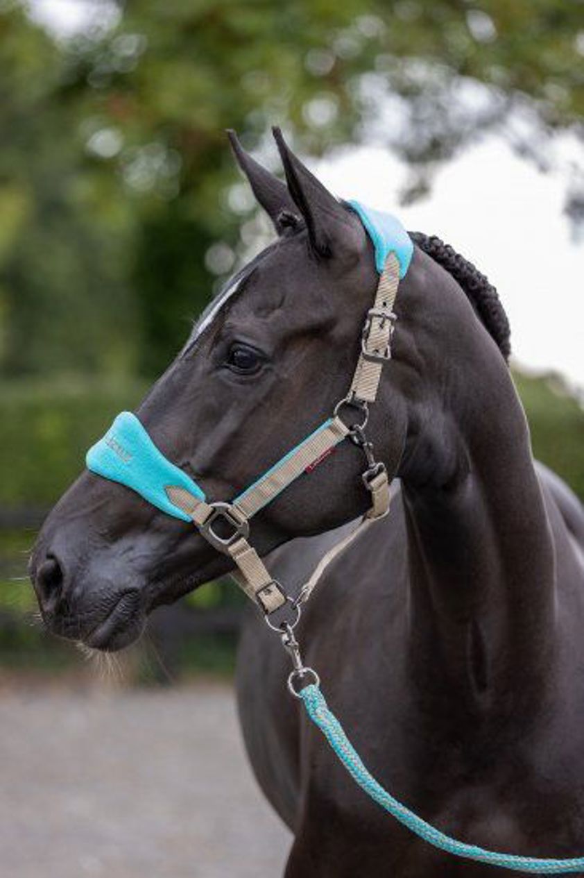 Azure LeMieux Vogue Headcollar&Lead Rope