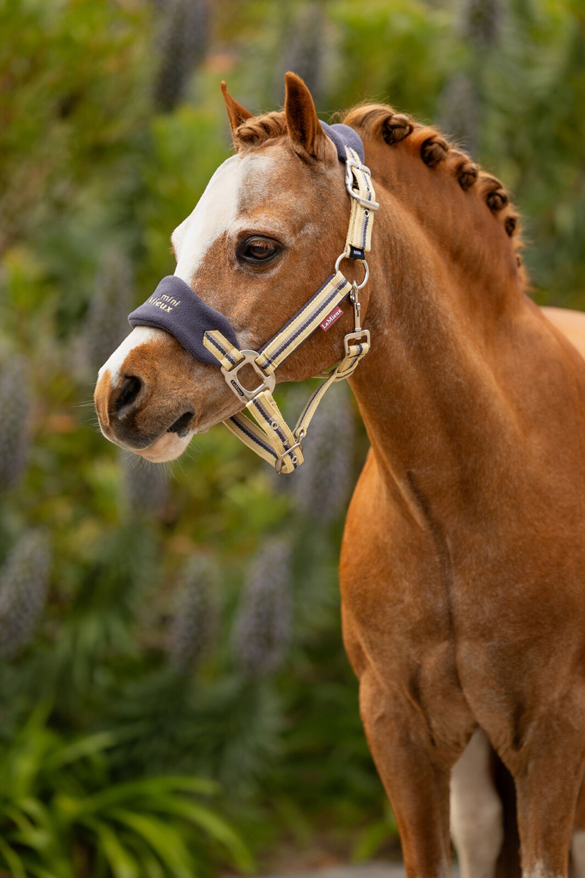 Dusk LeMieux Vogue Headcollar&Lead Rope