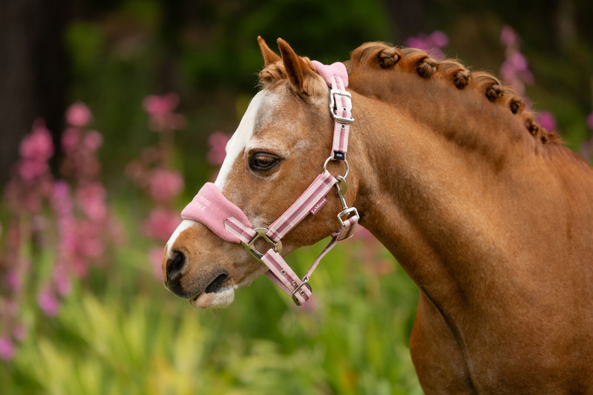 Peony LeMieux Vogue Headcollar&Lead Rope