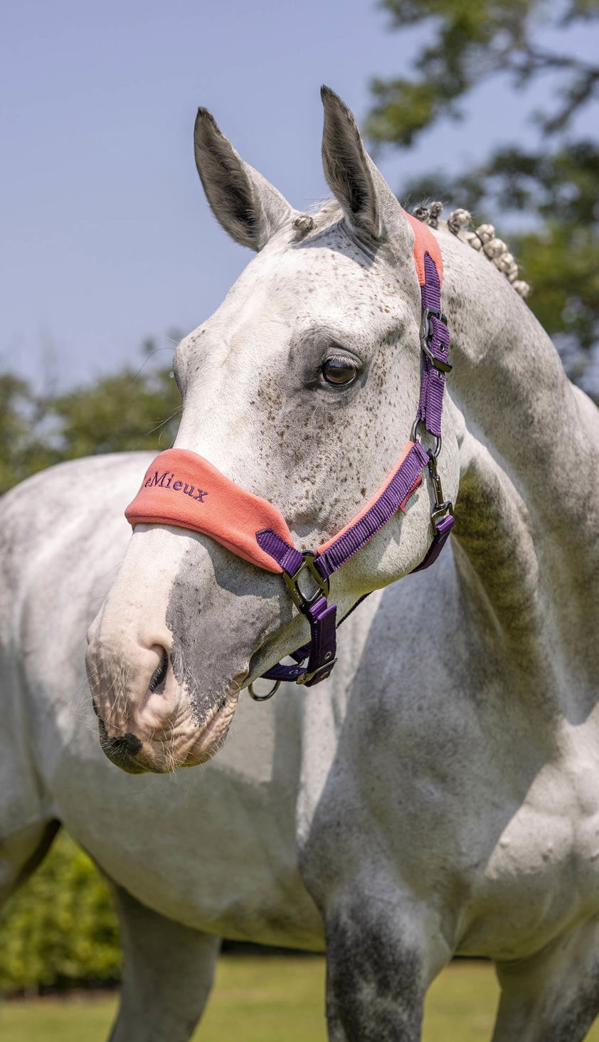 Benetton Blue LeMieux Vogue Headcollar&Lead Rope