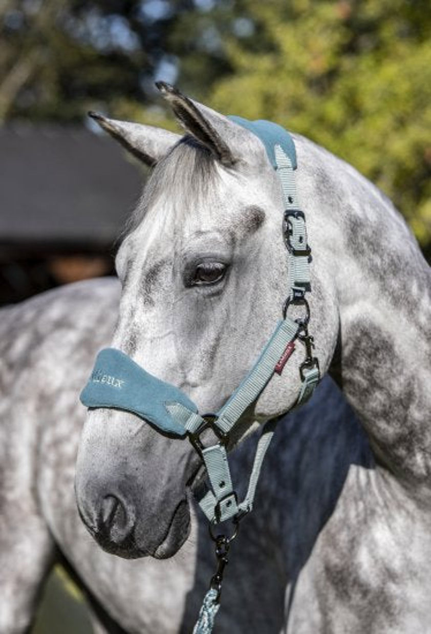 Sage LeMieux Vogue Headcollar&Lead Rope