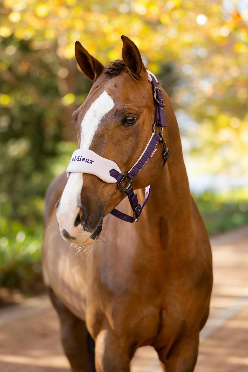 Juniper LeMieux Vogue Headcollar&Lead Rope