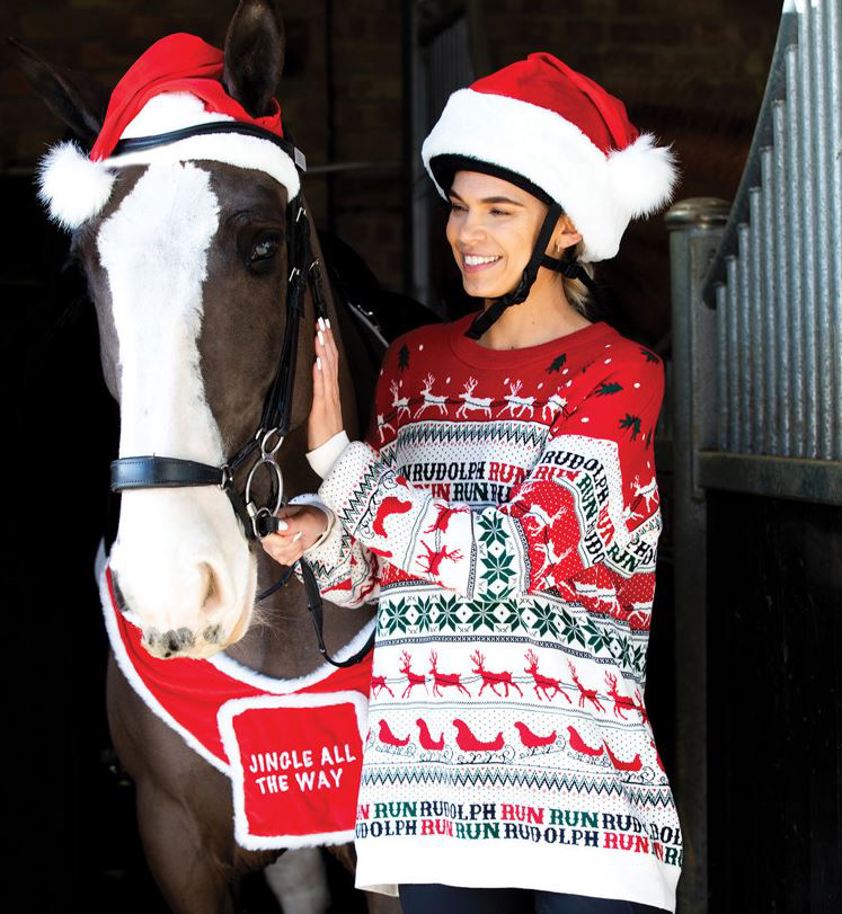 Santa Christmas Hat Silks