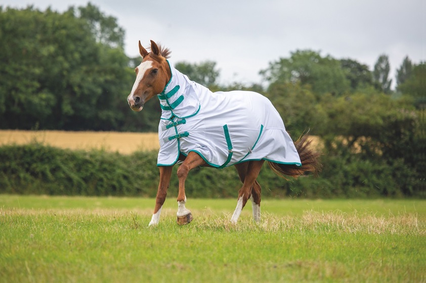 Shires Tempest Fly Combo Rug