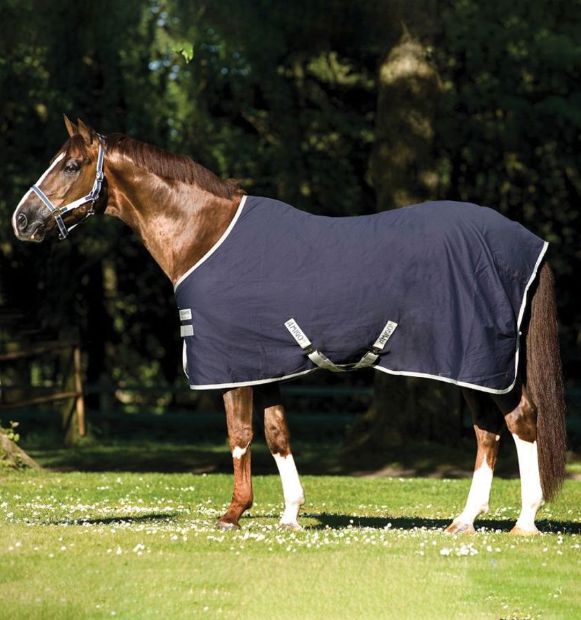 Navy Amigo Stable Sheet